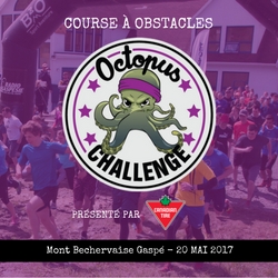 Octopus Challenge Course à obstacles Gaspésie